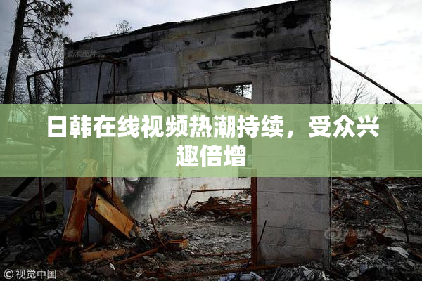 日韩在线视频热潮持续，受众兴趣倍增