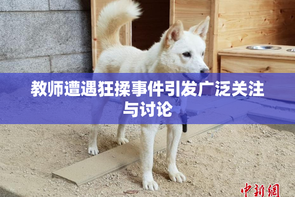 教师遭遇狂揉事件引发广泛关注与讨论