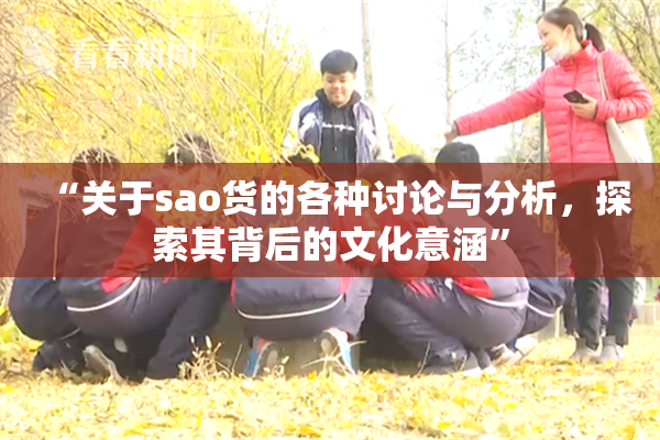 “关于sao货的各种讨论与分析，探索其背后的文化意涵”