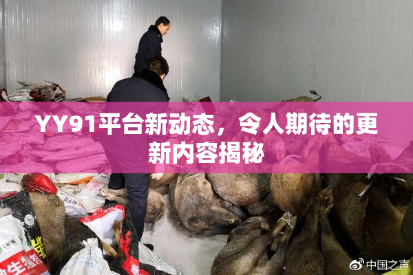 YY91平台新动态，令人期待的更新内容揭秘