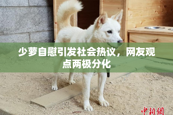 少萝自慰引发社会热议，网友观点两极分化