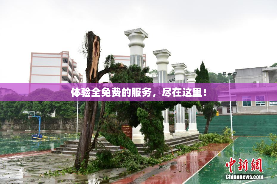 体验全免费的服务，尽在这里！