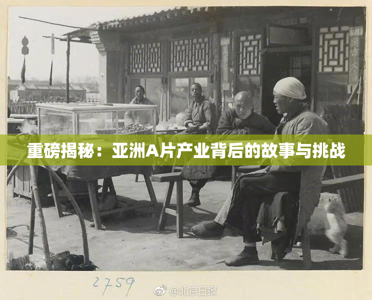重磅揭秘：亚洲A片产业背后的故事与挑战