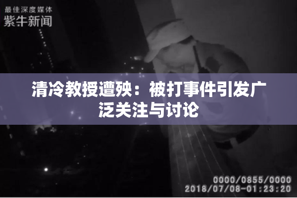 清冷教授遭殃：被打事件引发广泛关注与讨论