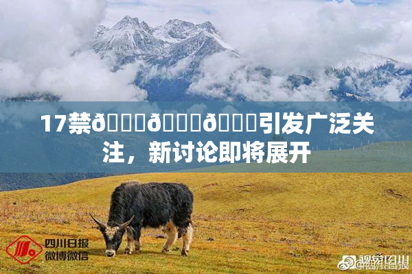 17禁🍆🍑🔞引发广泛关注，新讨论即将展开