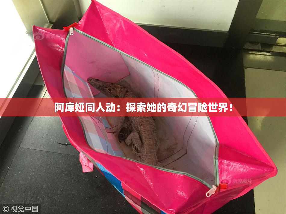 阿库娅同人动：探索她的奇幻冒险世界！