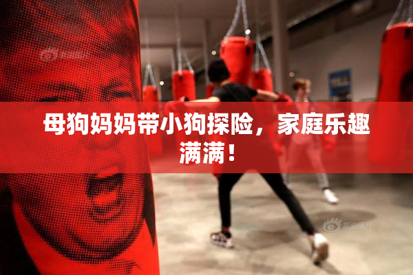 母狗妈妈带小狗探险，家庭乐趣满满！