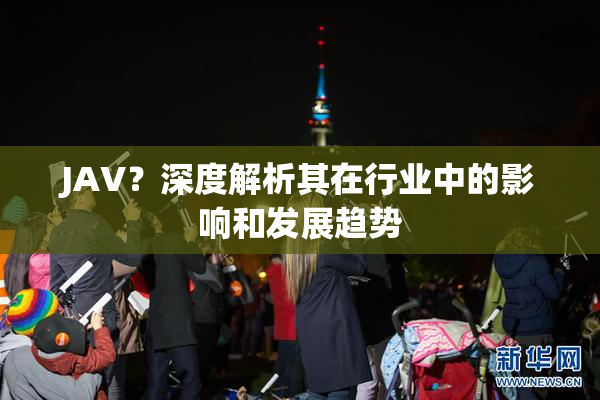 JAV？深度解析其在行业中的影响和发展趋势