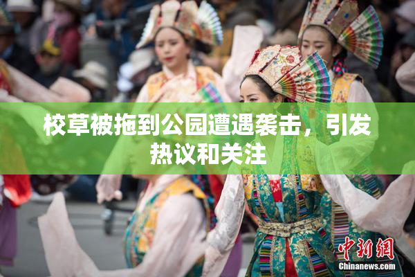 校草被拖到公园遭遇袭击，引发热议和关注