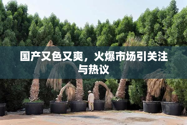 国产又色又爽，火爆市场引关注与热议