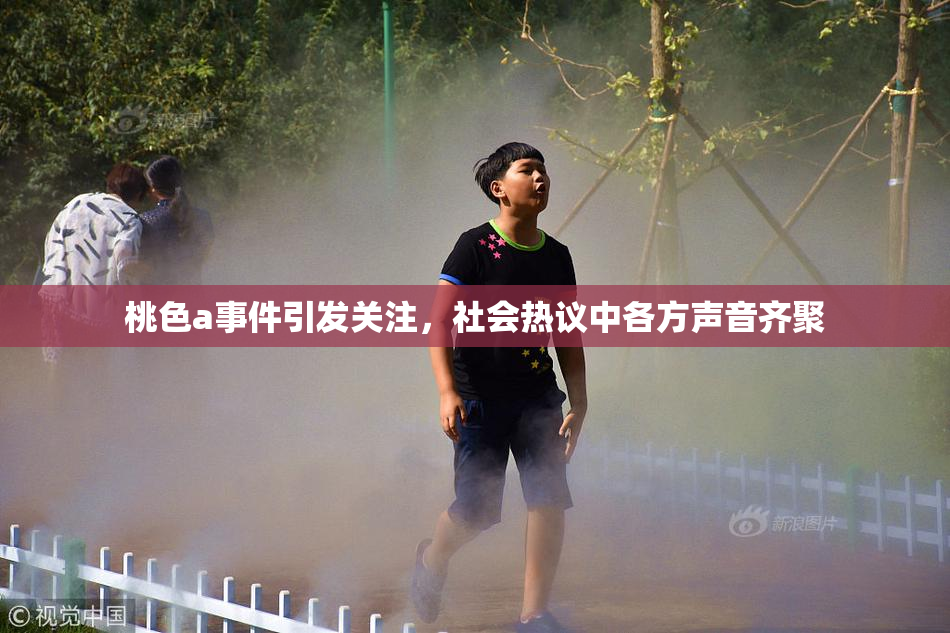 桃色a事件引发关注，社会热议中各方声音齐聚