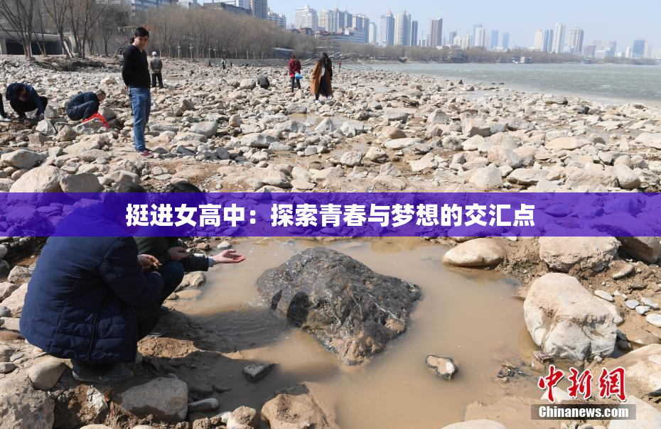挺进女高中：探索青春与梦想的交汇点