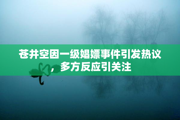 苍井空因一级娼嫖事件引发热议，多方反应引关注
