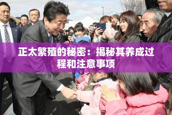 正太繁殖的秘密：揭秘其养成过程和注意事项