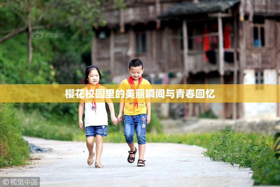 樱花校园里的美丽瞬间与青春回忆