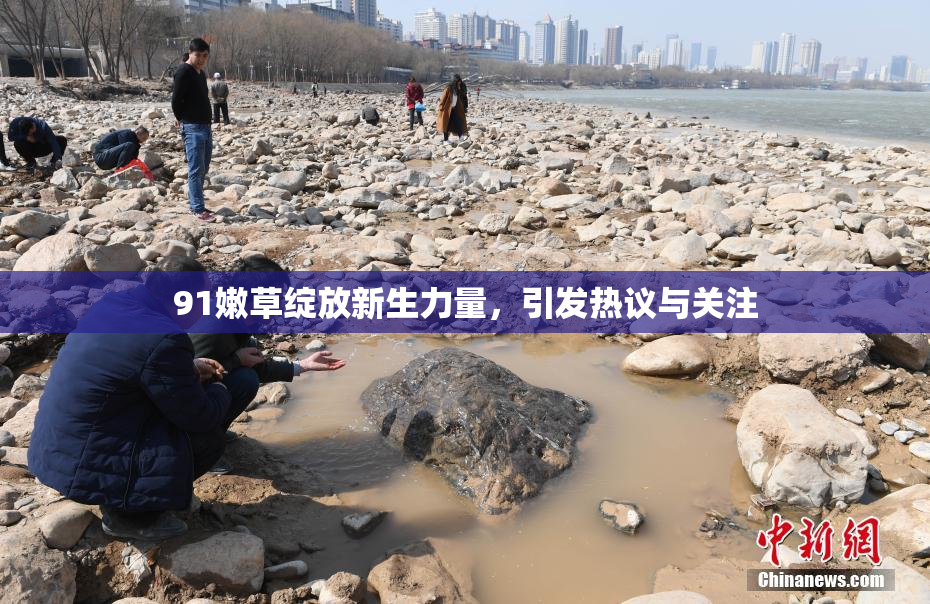 91嫩草绽放新生力量，引发热议与关注