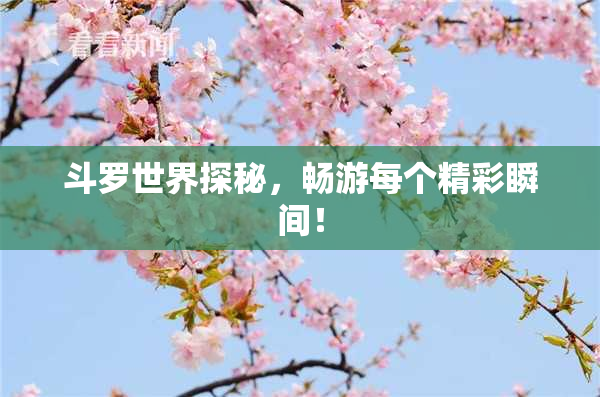 斗罗世界探秘，畅游每个精彩瞬间！