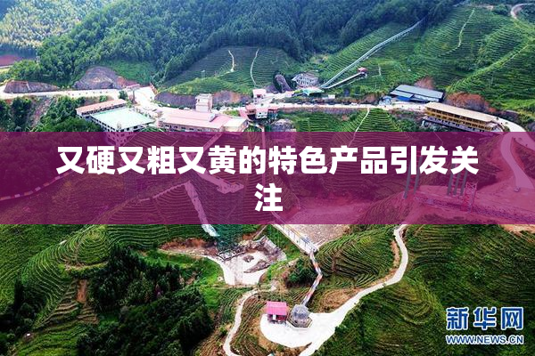 又硬又粗又黄的特色产品引发关注