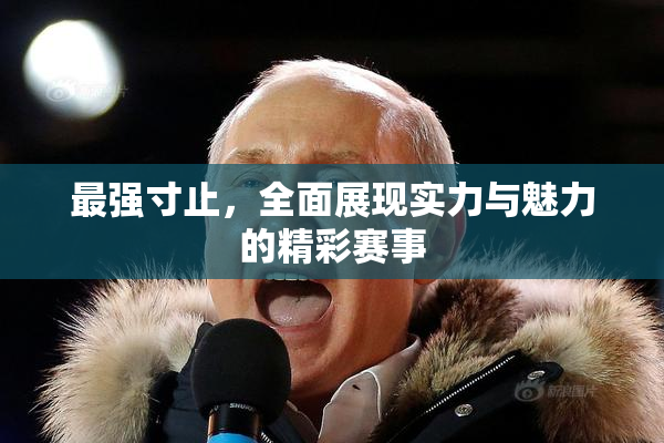 最强寸止，全面展现实力与魅力的精彩赛事