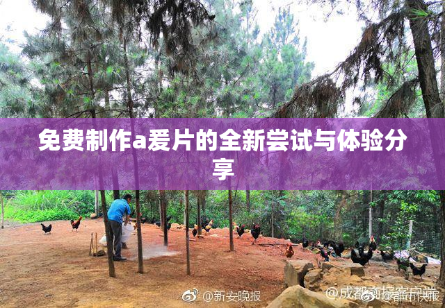 免费制作a爰片的全新尝试与体验分享