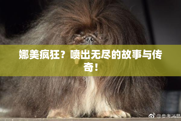 娜美疯狂？喷出无尽的故事与传奇！
