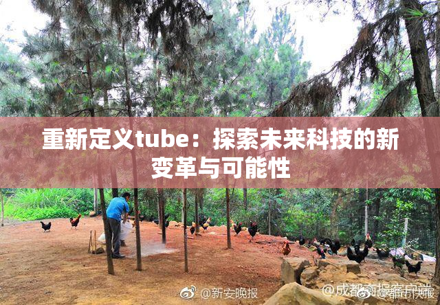 重新定义tube：探索未来科技的新变革与可能性