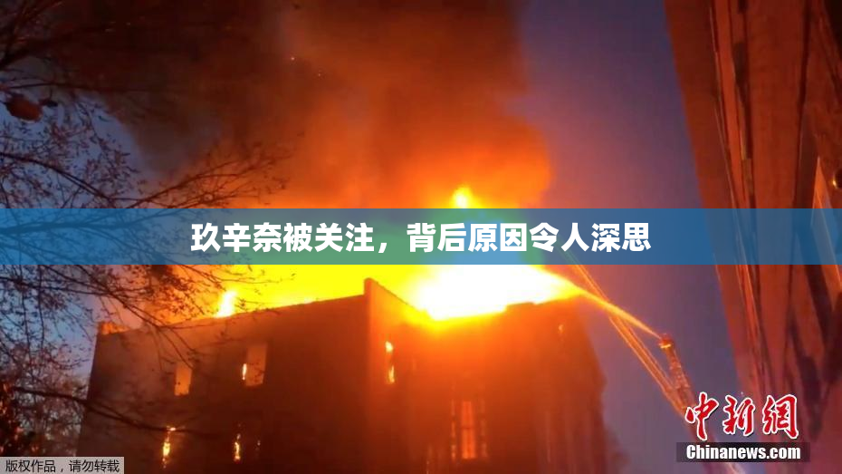 玖辛奈被关注，背后原因令人深思