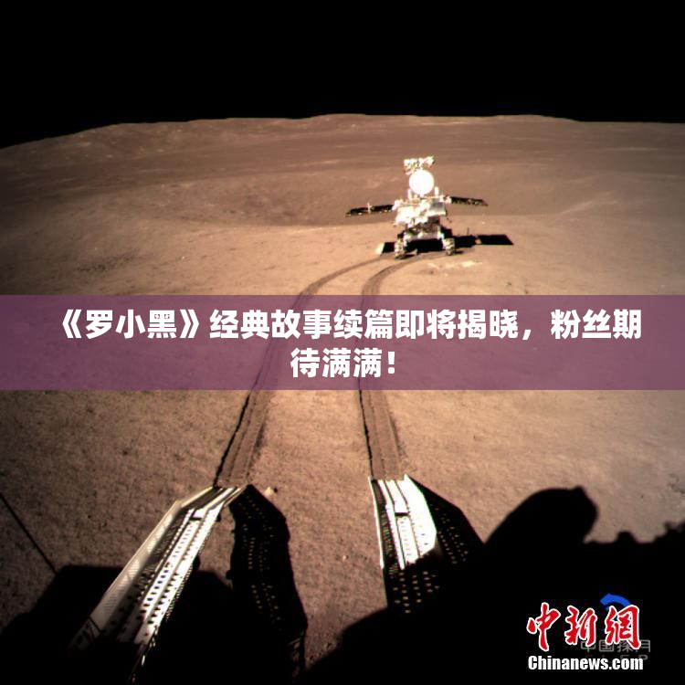 《罗小黑》经典故事续篇即将揭晓，粉丝期待满满！