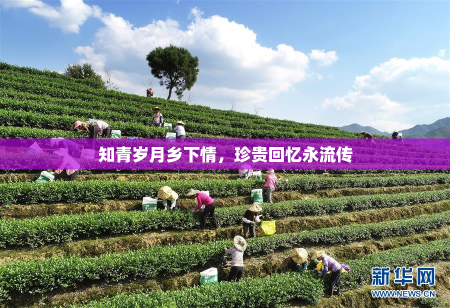 知青岁月乡下情，珍贵回忆永流传