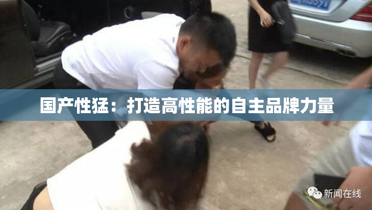 国产性猛：打造高性能的自主品牌力量
