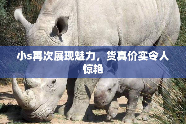 小s再次展现魅力，货真价实令人惊艳