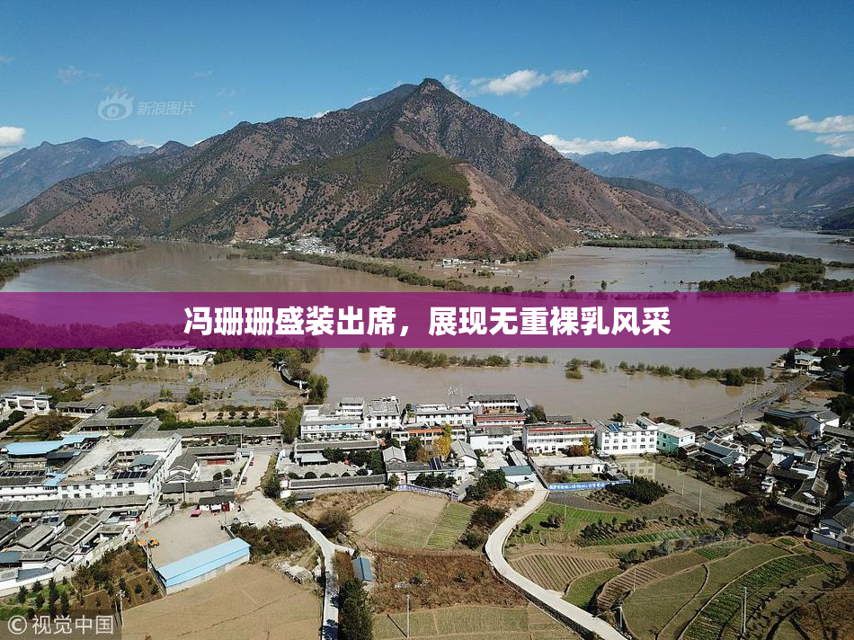 冯珊珊盛装出席，展现无重裸乳风采