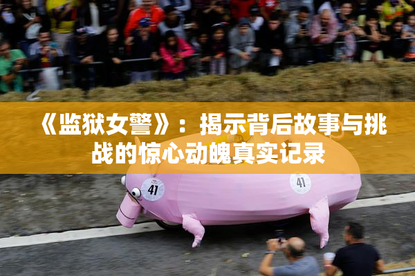 《监狱女警》：揭示背后故事与挑战的惊心动魄真实记录