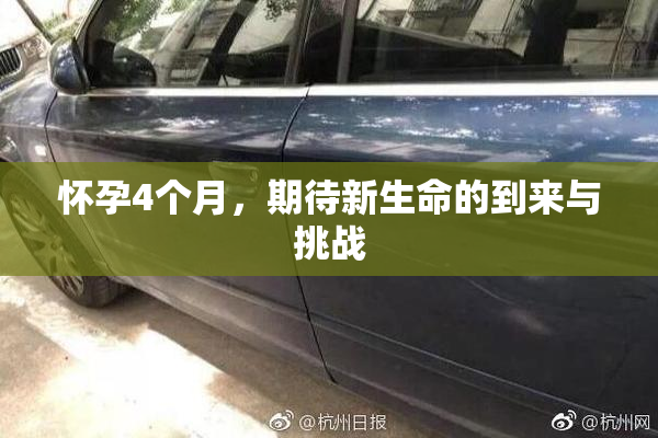 怀孕4个月，期待新生命的到来与挑战