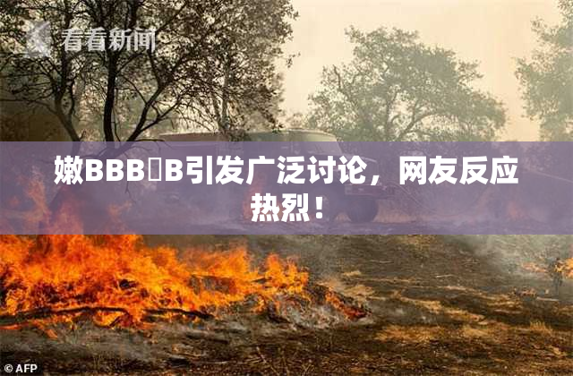 嫩BBB槡B引发广泛讨论，网友反应热烈！