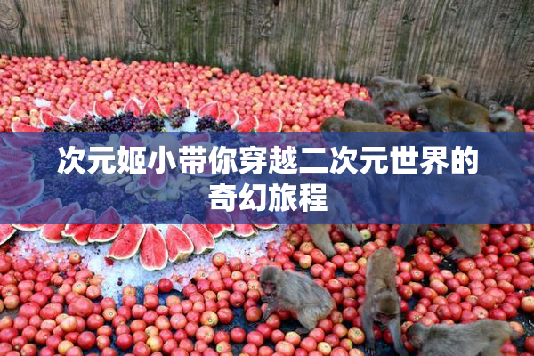 次元姬小带你穿越二次元世界的奇幻旅程