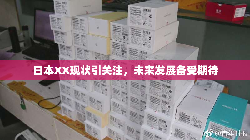 日本XX现状引关注，未来发展备受期待