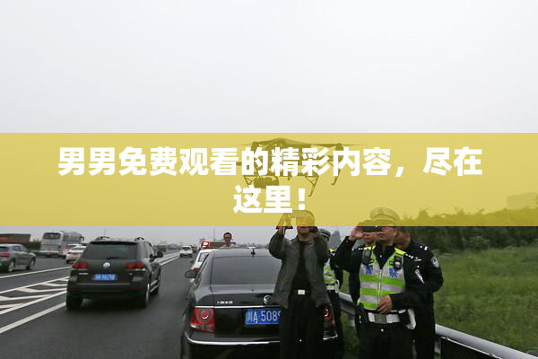 男男免费观看的精彩内容，尽在这里！