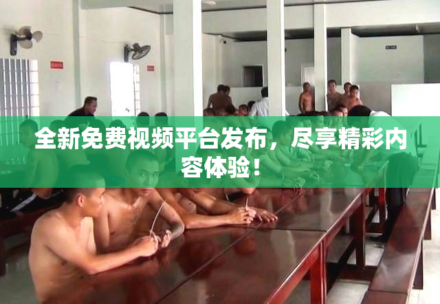 全新免费视频平台发布，尽享精彩内容体验！