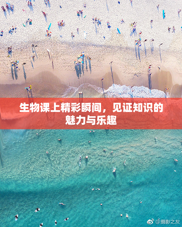 生物课上精彩瞬间，见证知识的魅力与乐趣
