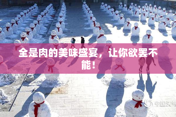 全是肉的美味盛宴，让你欲罢不能！