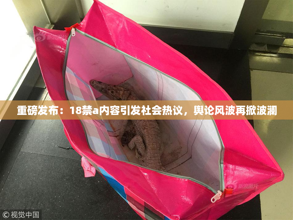 重磅发布：18禁a内容引发社会热议，舆论风波再掀波澜