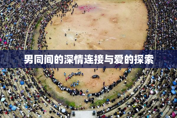 男同间的深情连接与爱的探索