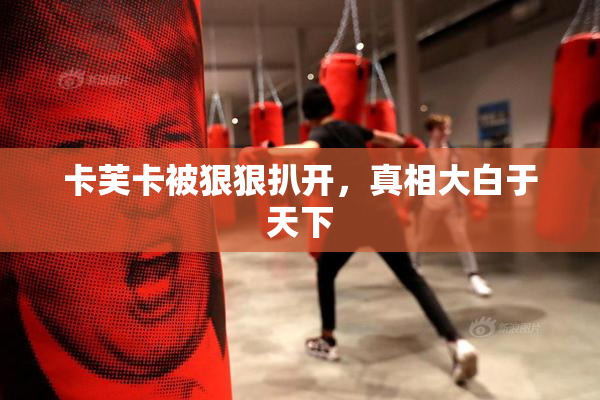 卡芙卡被狠狠扒开，真相大白于天下