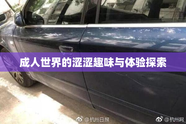 成人世界的涩涩趣味与体验探索