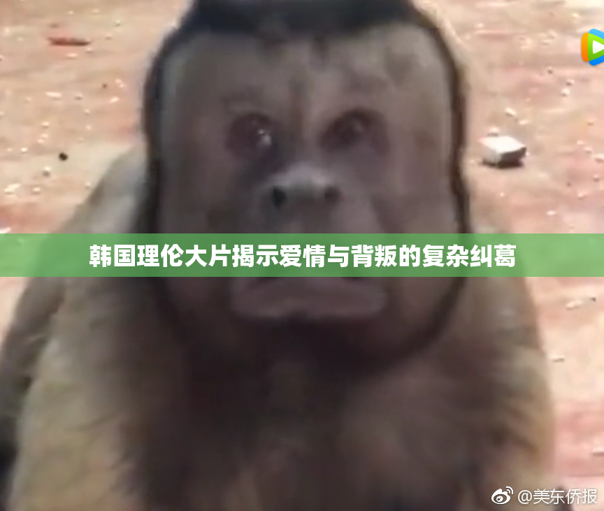 韩国理伦大片揭示爱情与背叛的复杂纠葛