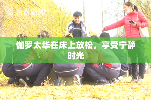 伽罗太华在床上放松，享受宁静时光