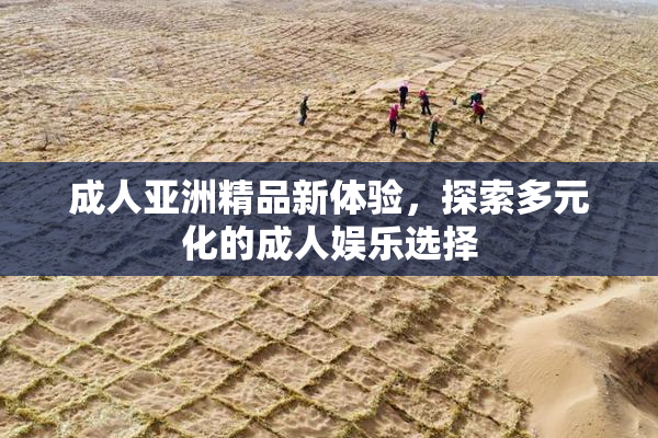 成人亚洲精品新体验，探索多元化的成人娱乐选择
