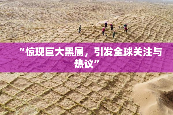 “惊现巨大黑属，引发全球关注与热议”