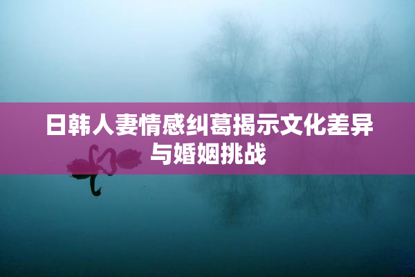 日韩人妻情感纠葛揭示文化差异与婚姻挑战